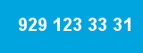 929 123 33 31 929 123 33 31